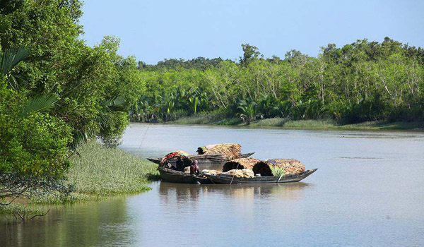 Sundarban-001.jpg