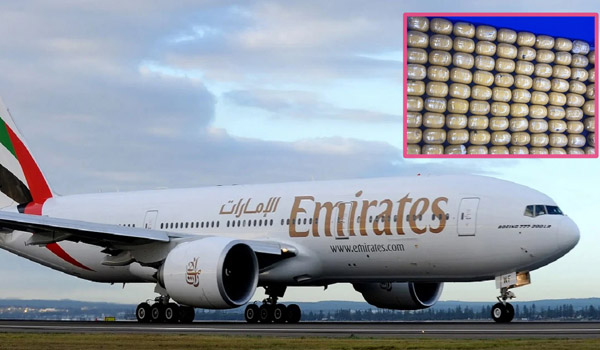 emirates.jpg