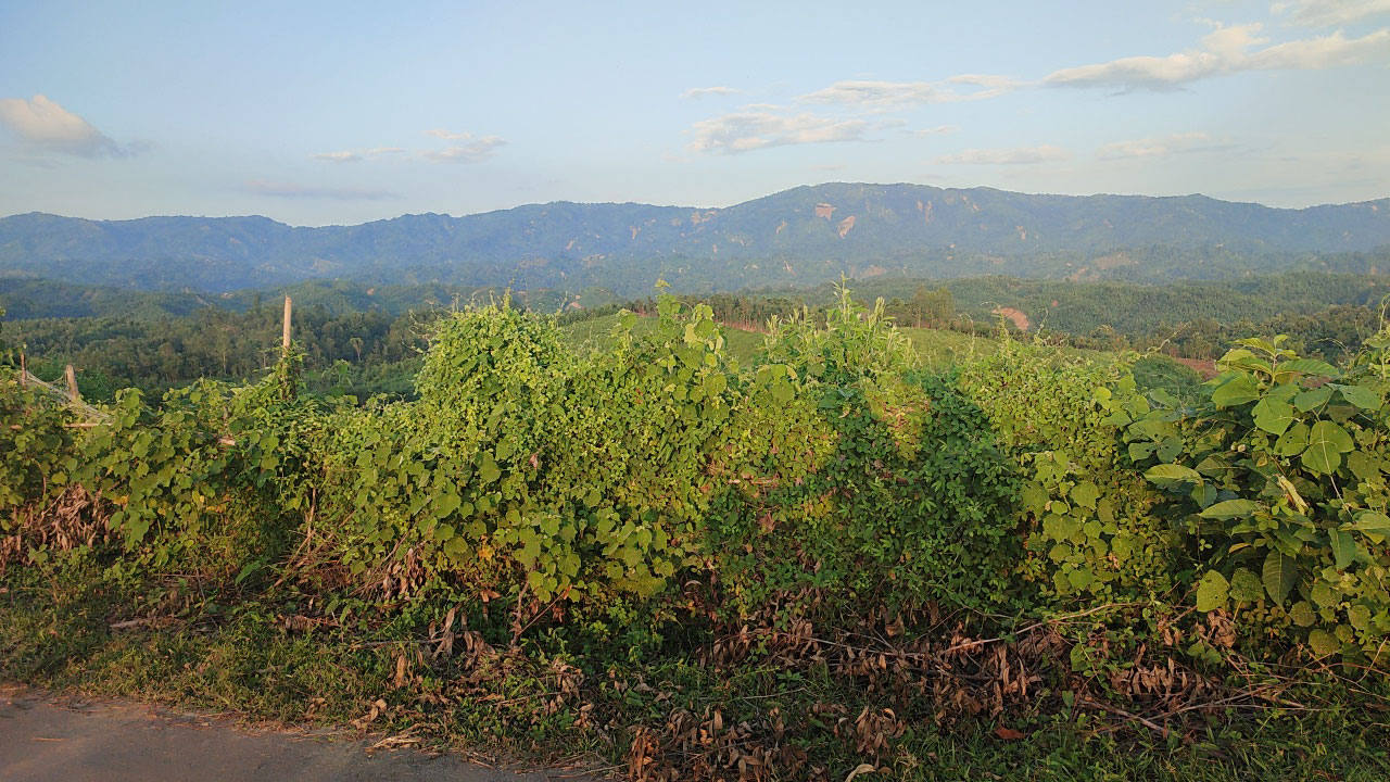 bandarban-20240512170111.jpg