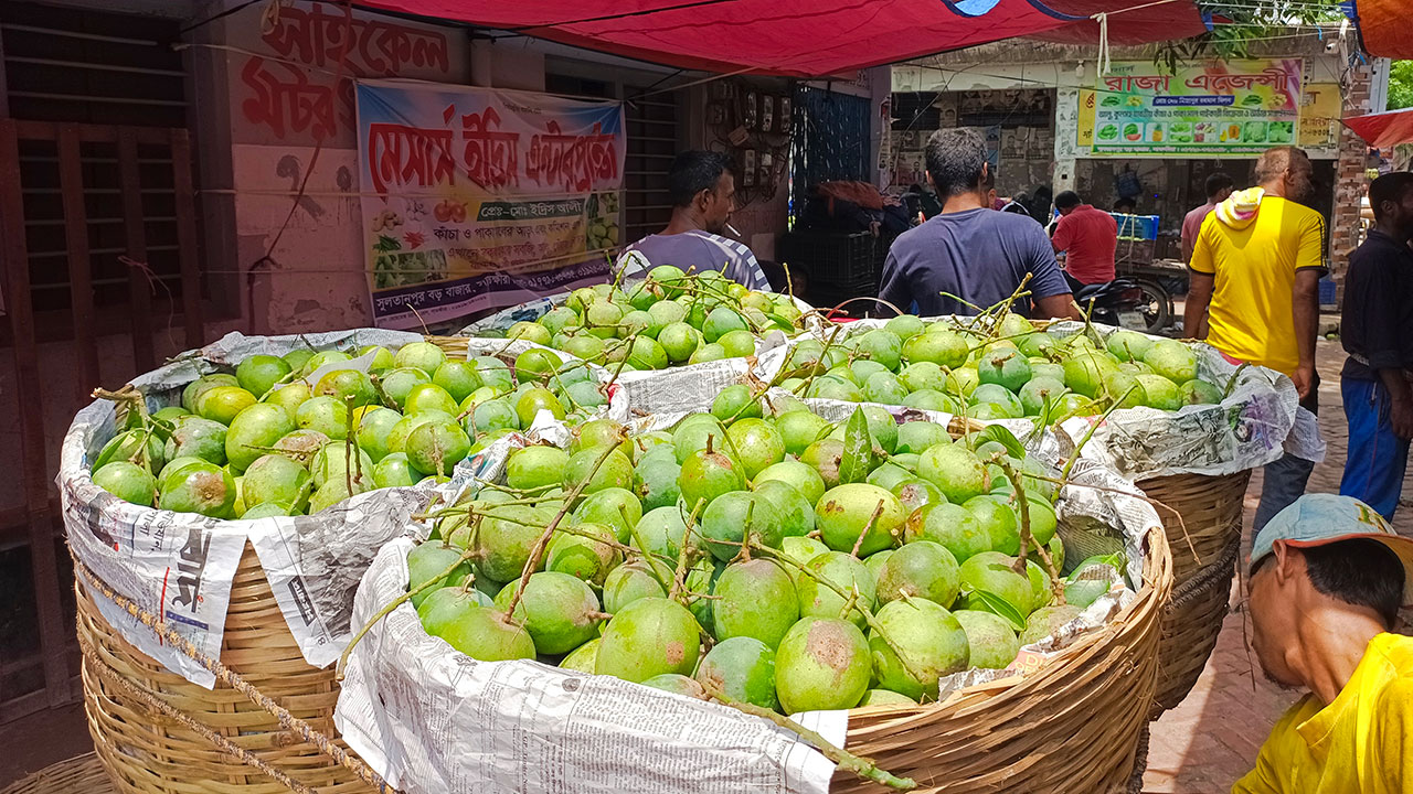 satkhira-20240602190715.jpg